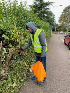 Picking litter from the hedgerow