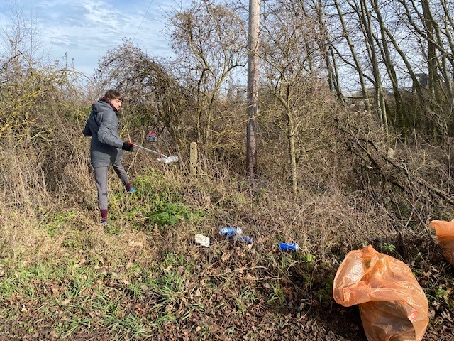 Robin litter picking in nature