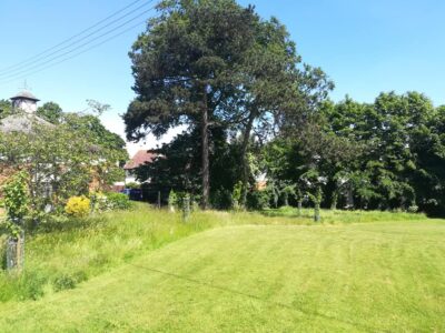 The Wild Area at Milton House 